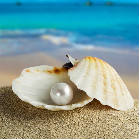 The Pearl .